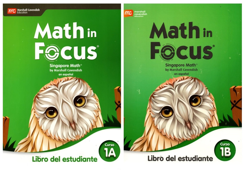 MATH IN FOCUS GRADE 6 SPANISH STUDENT EDITION SET