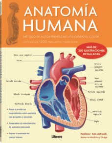 ANATOMIA HUMANA 