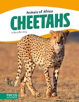 ANIMALS OF AFRICA CHEETAHS