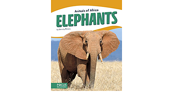 ANIMALS OF AFRICA ELEPHANTS 