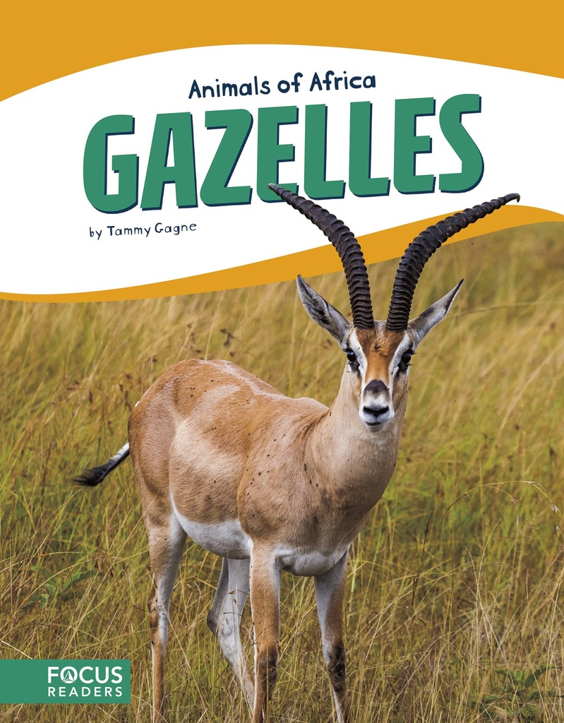 ANIMALS OF AFRICA GAZELLES