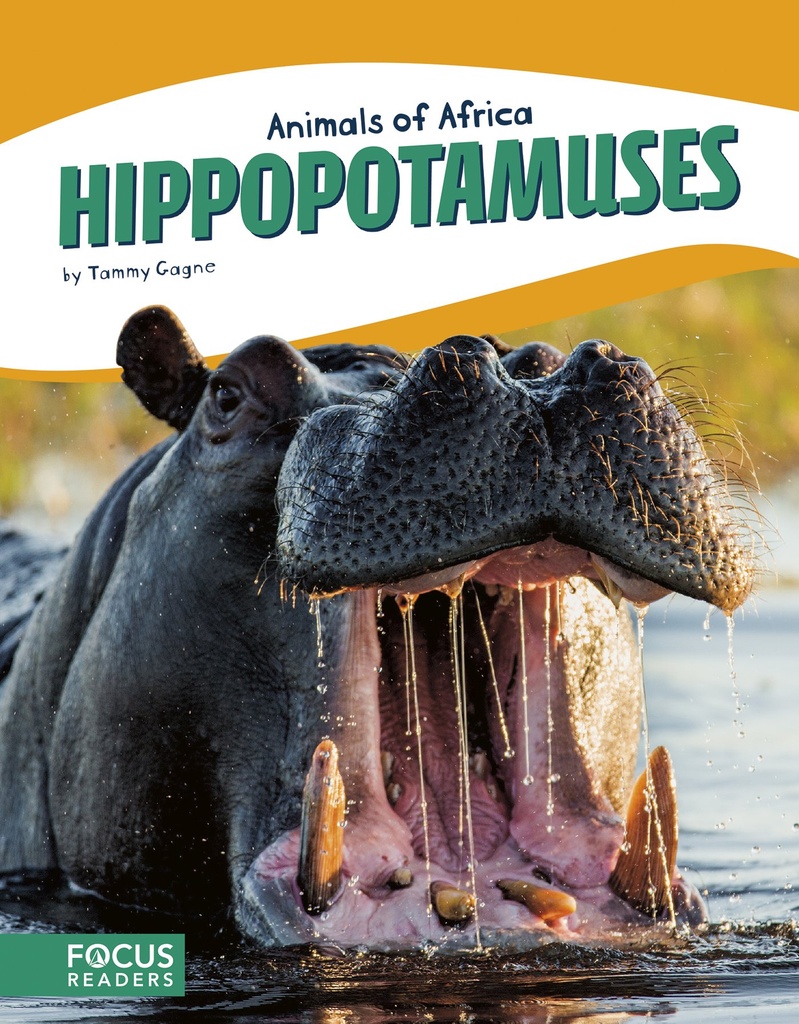 ANIMALS OF AFRICA HIPPOPOTAMUSES
