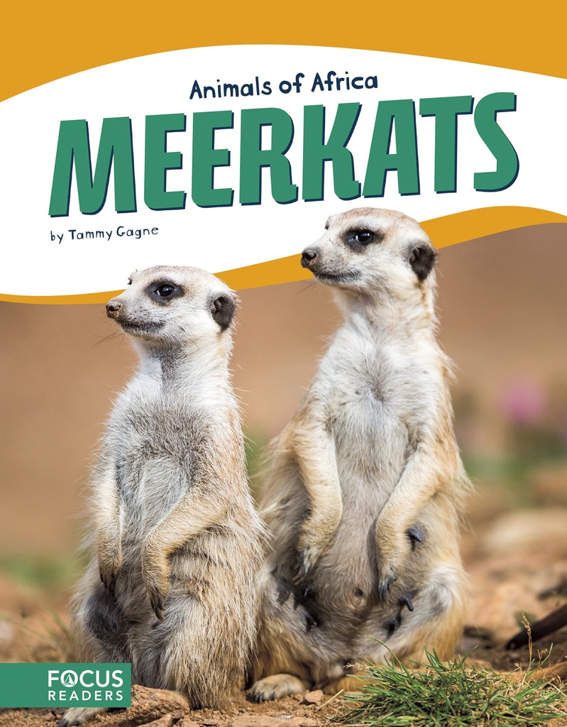 ANIMALS OF AFRICA MEERKATS 