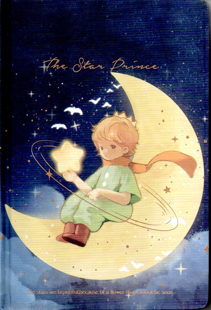 A5 TD ILUSTRADA  PRINCIPITO