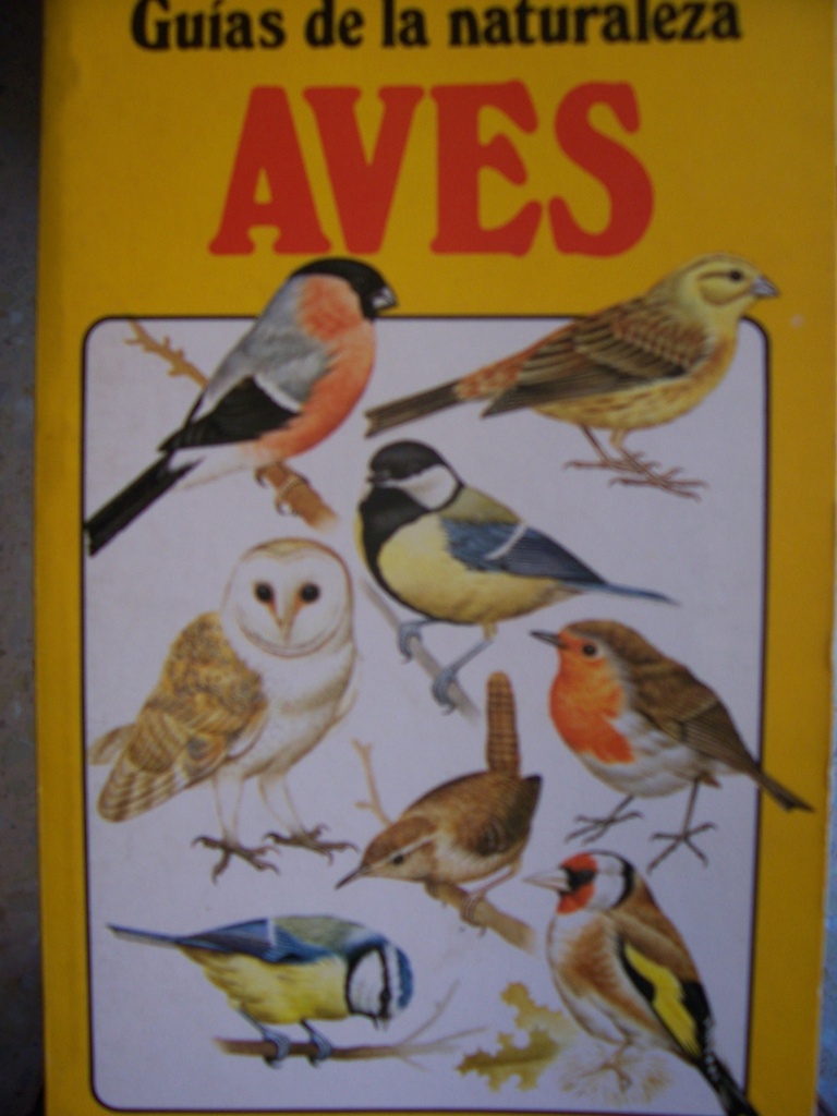 AVES                                                        