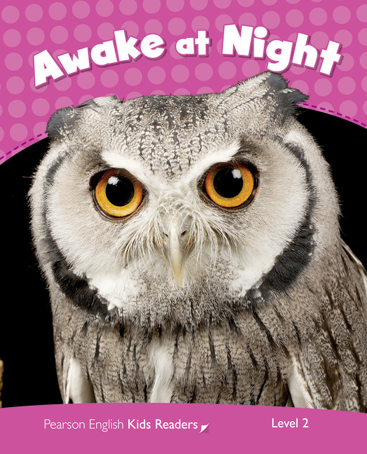 AWAKE AT NIGHT