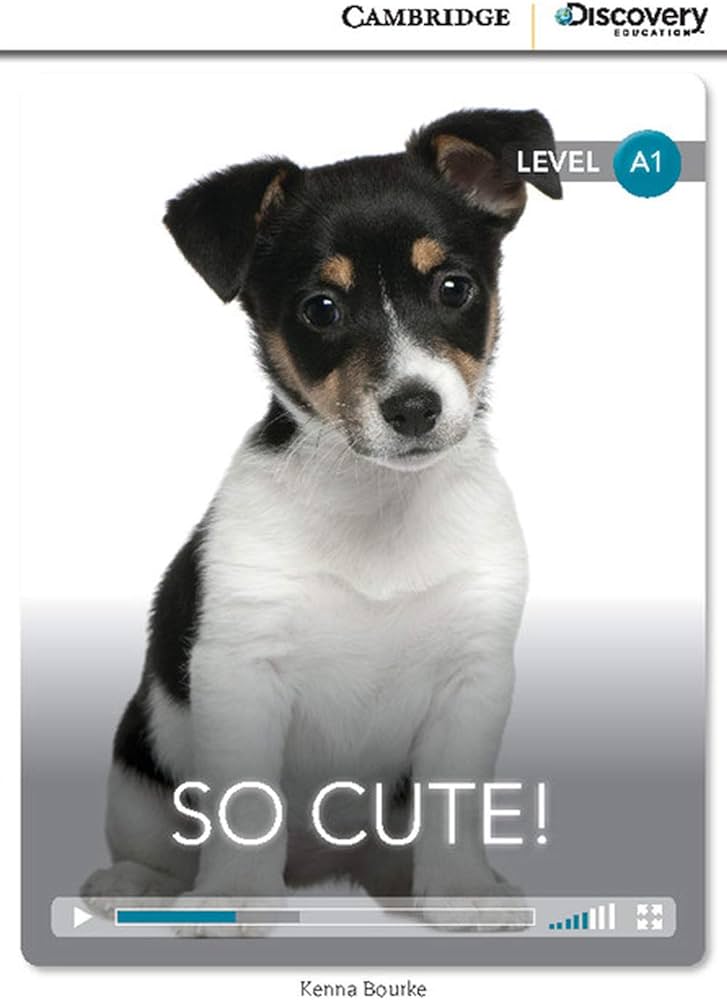BEGINNING - SO CUTE! BOOK WITH ONLINE ACCESS