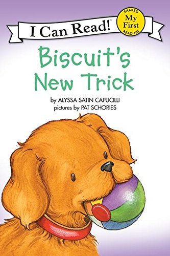 BISCUITS NEW TRICT