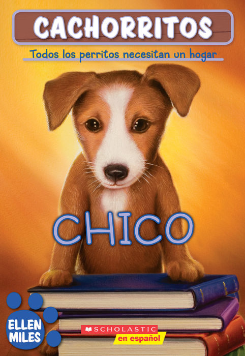 CACHORRITOS 5 CHICO