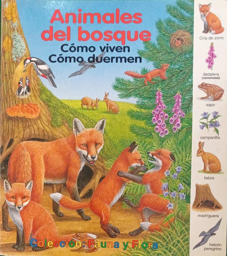 ANIMALES DEL BOSQUE SUS COSTUMBRES/COMO VIVEN COMO DUERMEN