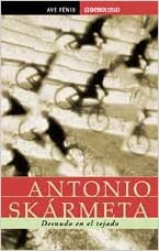 DESNUDO EN EL TEJADO