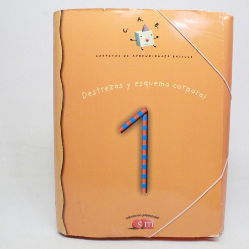 DESTREZAS Y ESQUEMA CORPORAL 1 CARPETA APRENDIZAJE