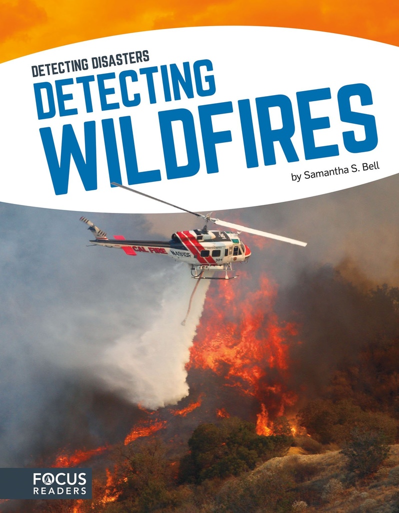 DETECTING DISASTERS DETECTING WILDFIRES