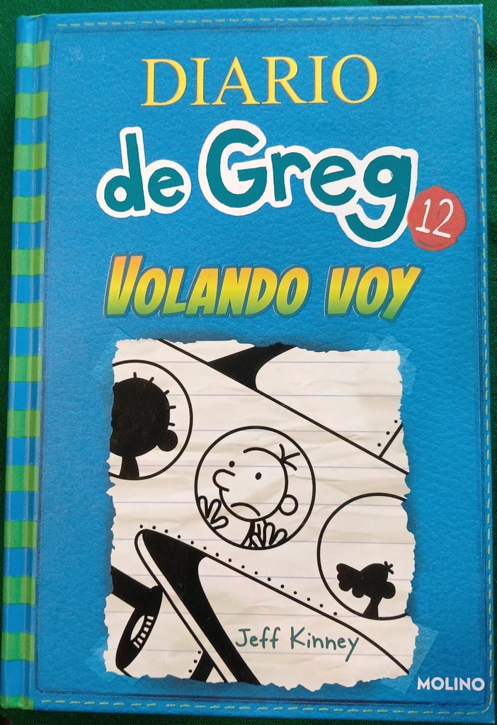 DIARIO DE GREG  12 VOLANDO VOY