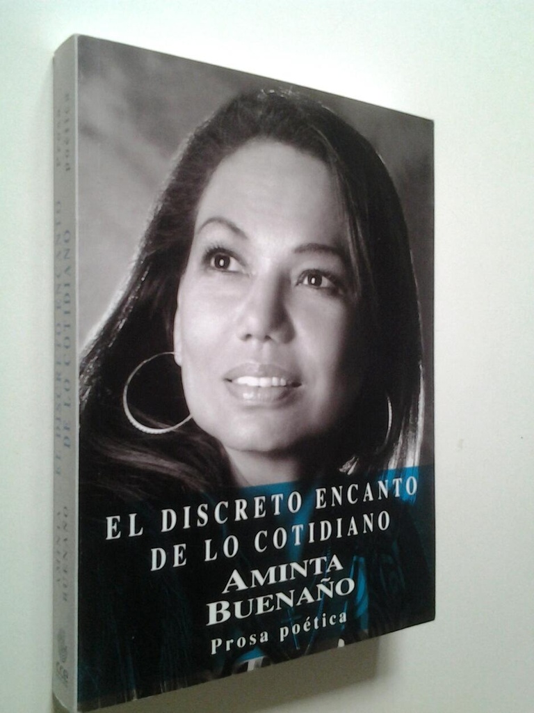 DISCRETO ENCANTO DE LO COTIDIANO, EL