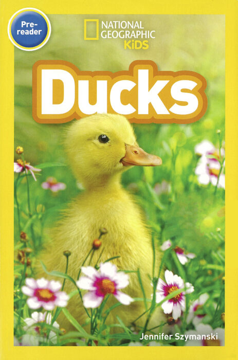 DUCKS PRE-READER