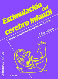 ESTIMULACION DEL CEREBRO INFANTIL