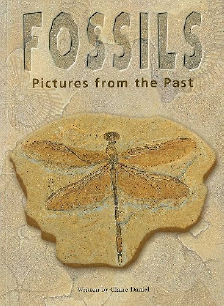 FOSSILS PICTURES FROM THE PAST