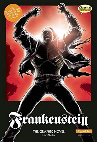 FRANKENSTEIN THE GRAPHIC NOVEL
