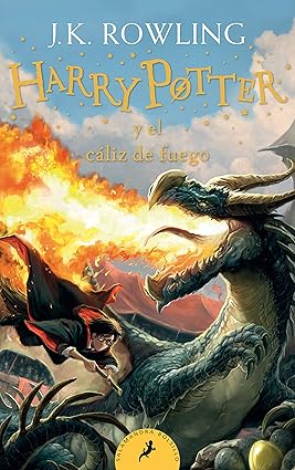 HARRY POTTER Y EL CALIZ DE FUEGO #4