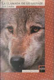 LLAMADA DE LO SALVAJE (N-4 CLASICOS SM)