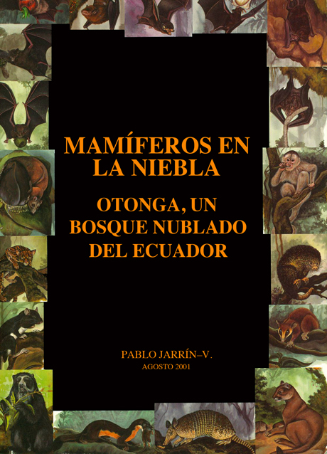 MAMIFEROS EN LA NIEBLA  OTONGA, UN BOSQUE NUBLADO DEL ECUADOR