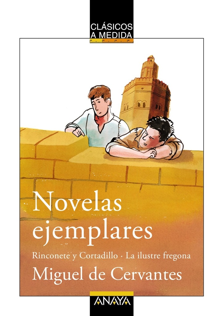 NOVELAS EJEMPLARES CLASICOS A MEDIDA