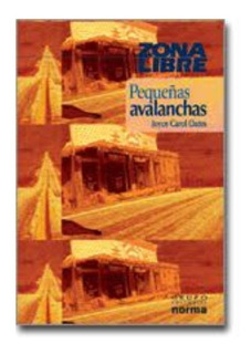 PEQUEÑAS AVALANCHAS