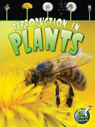 REPRODUCTION IN PLANTS