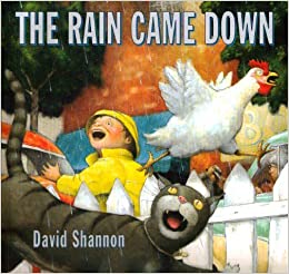 THE RAIN CAME DOWN 