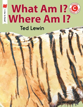 WHAT AM I? WHERE AM I?