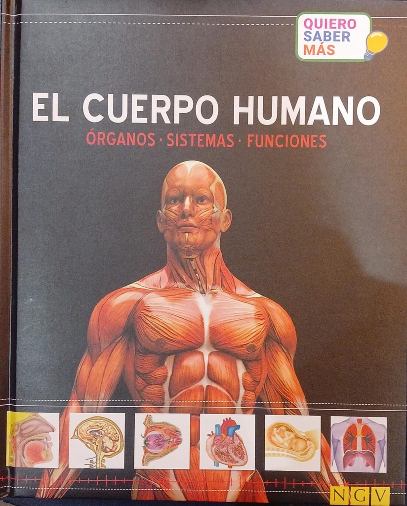 CUERPO HUMANO,EL