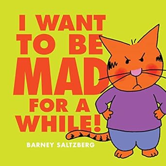 I WANT TO BE MAD FOR A WHILE!