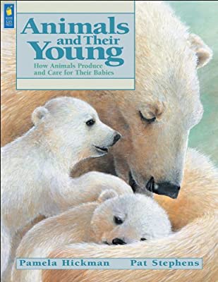 [1563340542] ANIMALS AND THEIR YOUNG                                     