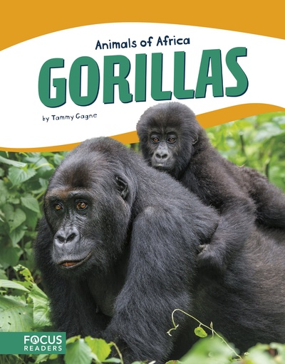 [9781635173291] ANIMALS OF AFRICA GORILLAS