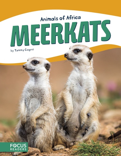 [9781635173321] ANIMALS OF AFRICA MEERKATS 