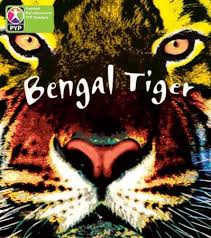 [9780435995911] BENGAL TIGER