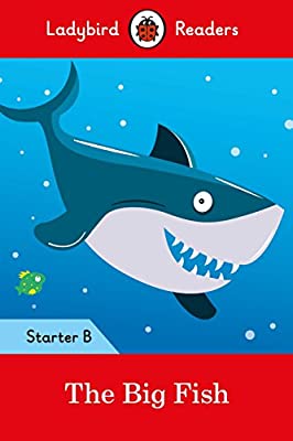[9780241299159] BIG FISH STARTER B (LADYBIRD READERS)