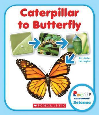 [9780531249765] CATERPILLAR TO BUTTERFLY