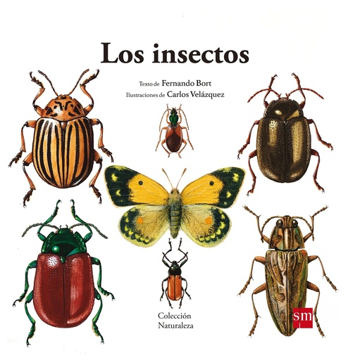 [9788467577617] INSECTOS, LOS