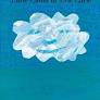 [9780698118300] LITTLE CLOUD