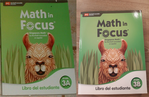 [9780358314721] MATH IN FOCUS GR 3 SPANISH STUDENT EDITION SET