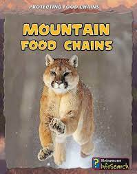 [9781432938659] MOUNTAIN FOOD CHAINS