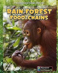 [9781432938673] RAIN FOREST FOOD CHAINS 