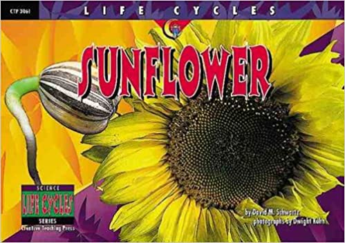 [9781574715811] SUNFLOWER