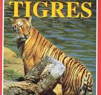[9788420743233] TIGRES (ANIMALES EN ACCION)