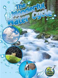 [9781618102379] WONDERFUL WATER CYCLE, THE