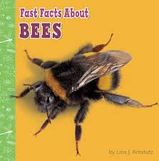 [9781977132642] FAST FACTS ABOUT BEES