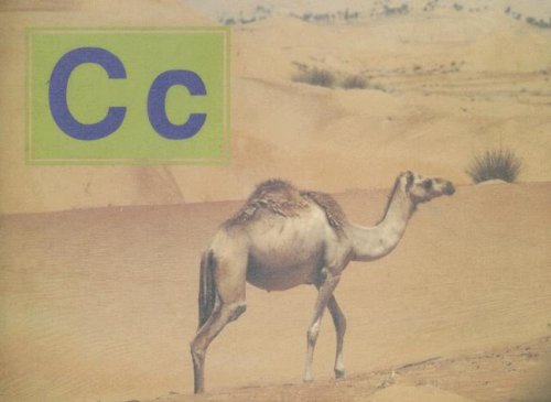[9780817256029] ALPHABET BOOK C