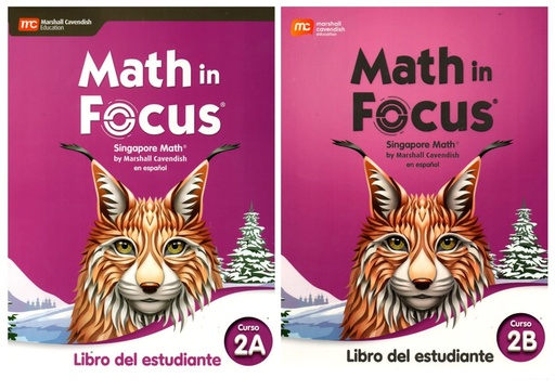 [9780358314769] MATH IN FOCUS GRADE 7 SPANISH STUDENT EDITION SET